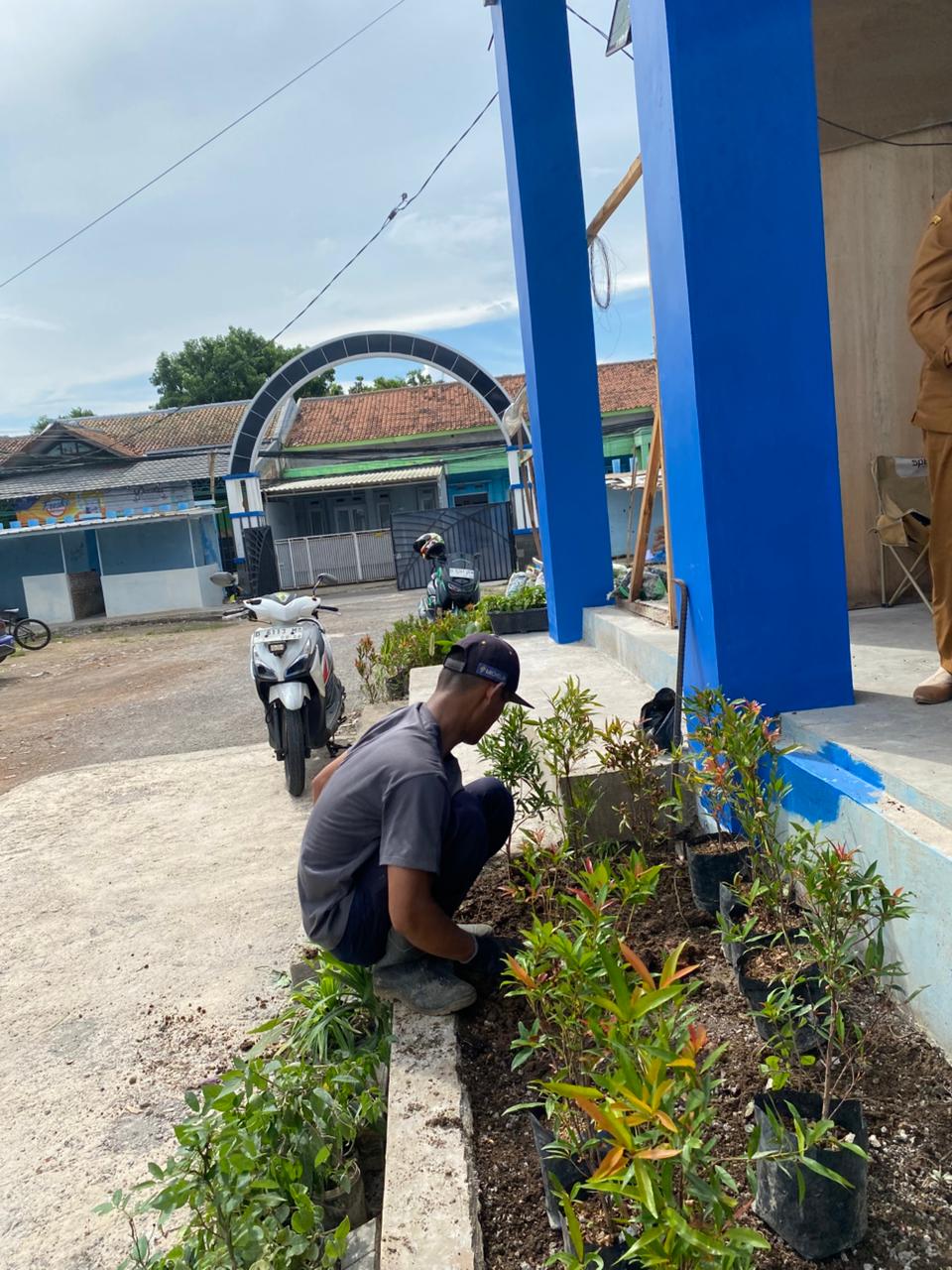 Kegiatan Penghijauan Sekolah